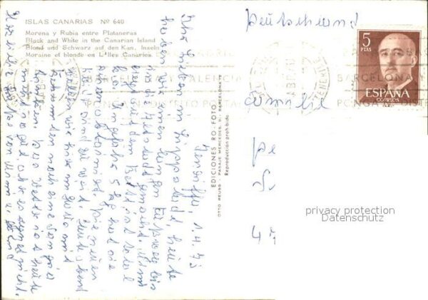 Bananen Islas Canarias – Bild 2