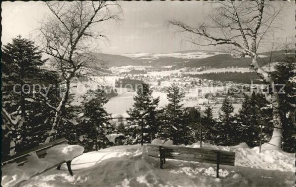 Hinterzarten Winter Panorama