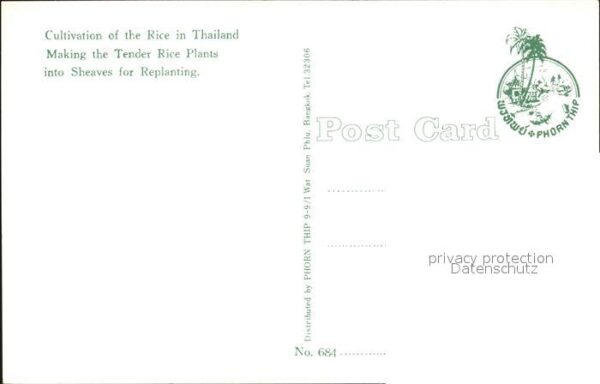 Thailand Cultivation of the Rice – Bild 2