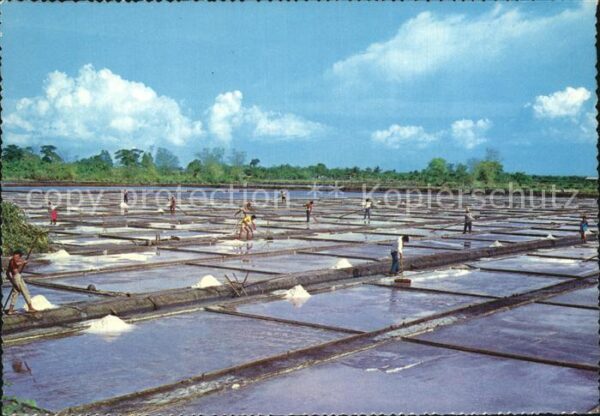 Las Pinas City Salt Bed