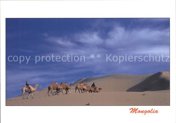 Mongolei Wüste Kamelreiter