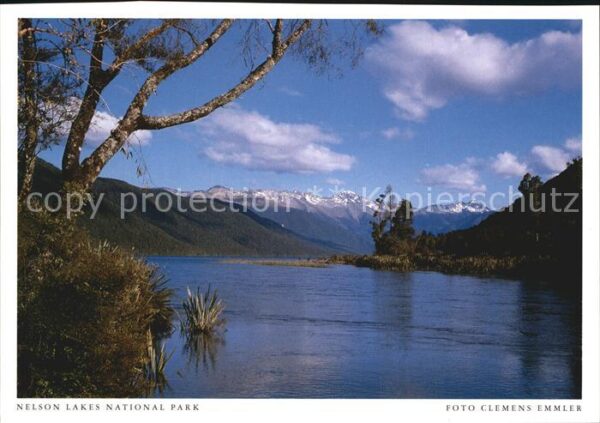 Nelson New Zealand Nelson Lakes National Park