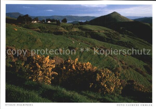 Neuseeland Otago Halbinsel