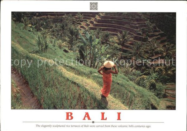 Bali Indonesien Rice terraces of Bali were carved from