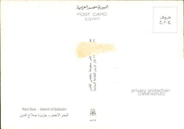 Aegypten The Island of Salladin Red Sea – Bild 2