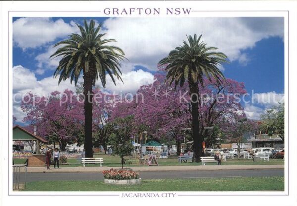 Grafton New South Wales Jacaranda City Princes Street