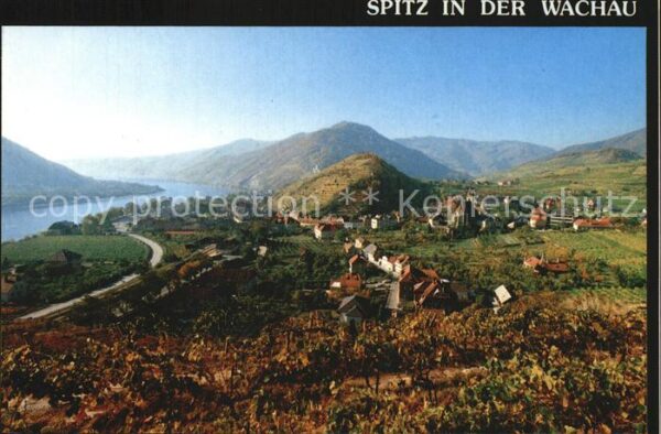Spitz Donau Wachau Weingärten Tausendeimerberg Dona