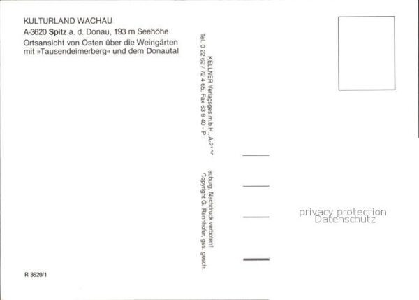 Spitz Donau Wachau Weingärten Tausendeimerberg Dona – Bild 2