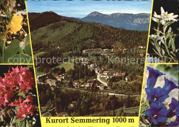 Semmering Niederoesterreich Kurort Raxalpe Edelweiß Enzian Alpenros