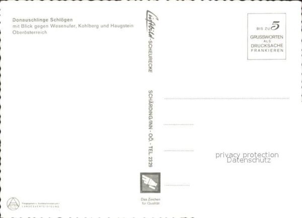 Schloegener Schlinge Donauschlinge Blick gegen Wesenufer Koh – Bild 2