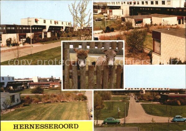 Middelharnis Hernesseroord