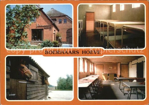 Grolloo Kampeerboerderij Boerhaarshoeve