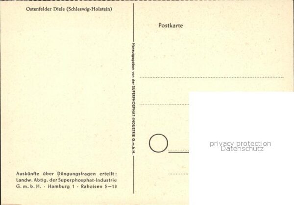 Ostenfeld Husum Diele – Bild 2