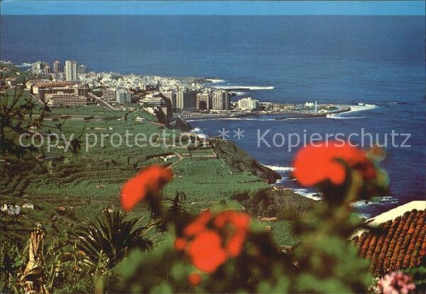 Puerto de la Cruz Fliegeraufnahme Bananenplantagen