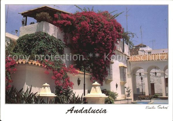 Marbella Andalucia