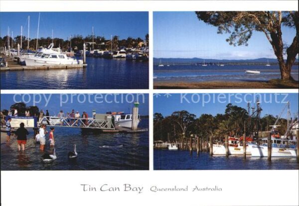 Queensland Tin Can Bay Feeding Dolphins Trawlers i