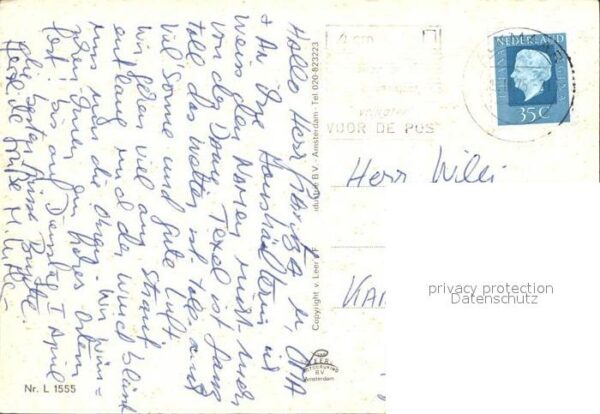 Texel Waldpartie Schafeherde Wohnhaus Sonnenu – Bild 2