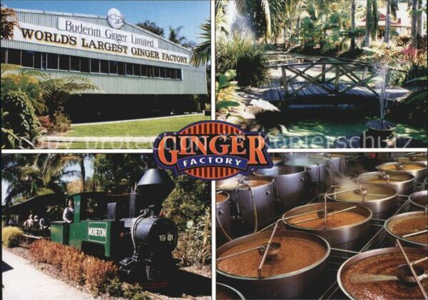 Yandia Ginger Factory Tourism Centre Tourist T