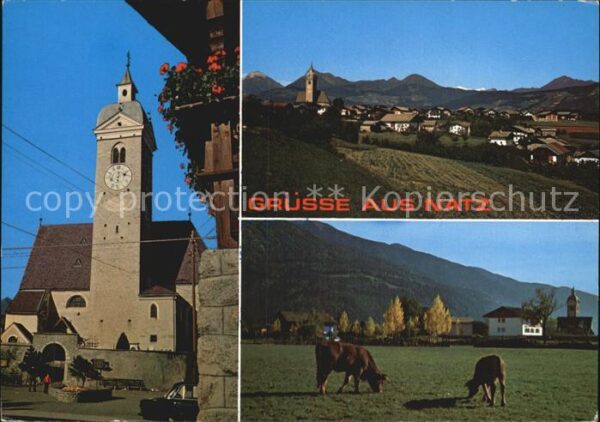 Natz Brixen Suedtirol Panorama Kirche Kühe