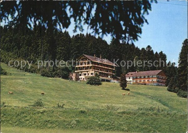 Freudenstadt Kurhotel Waldhotel Stokinger Schwarzwal