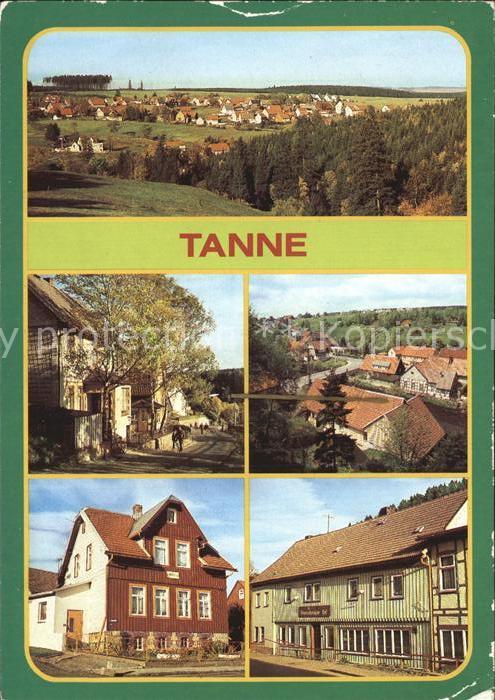 Tanne Harz Schierker Weg Ferienheim Waldheim Gasts