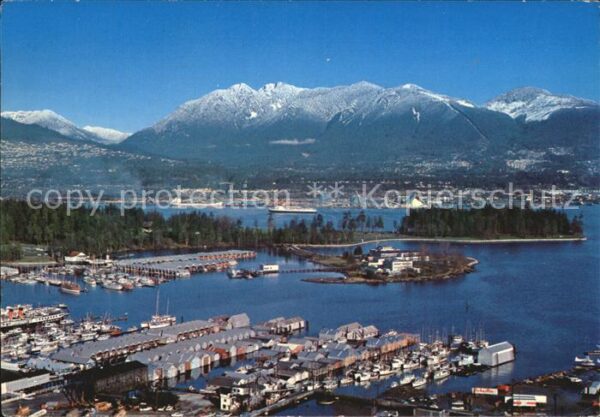 Vancouver British Columbia Coal Harbour part of Stanley Park Burra