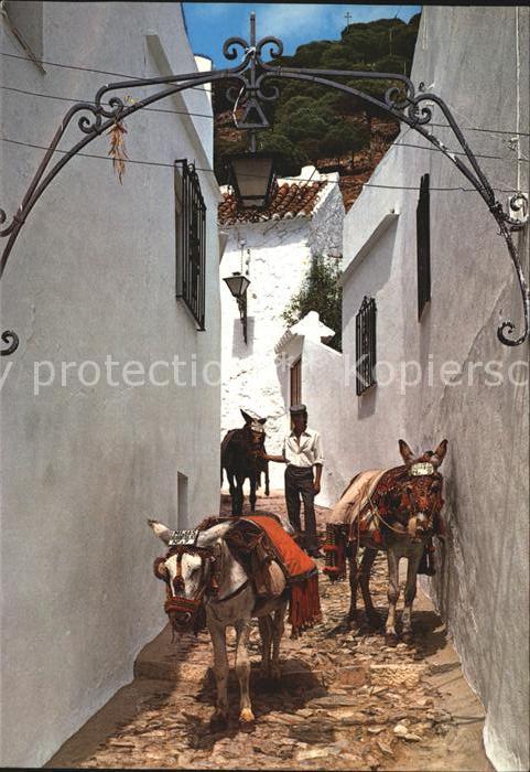Mijas Packesel