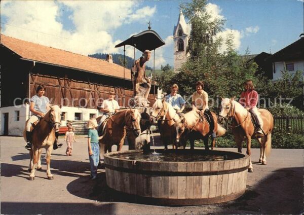Serfaus Tirol Haflinger Antoniusbrunnen