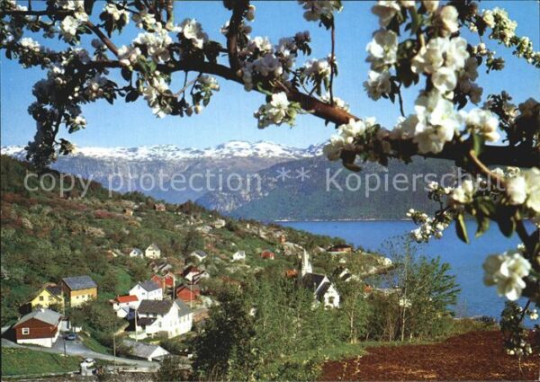 Hardanger Utne Panorama