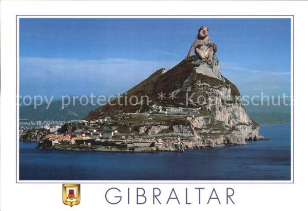 Gibraltar Berge Straßen Affe