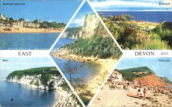 East Devon Budleigh Salterton Exmouth Sidmouth Bee