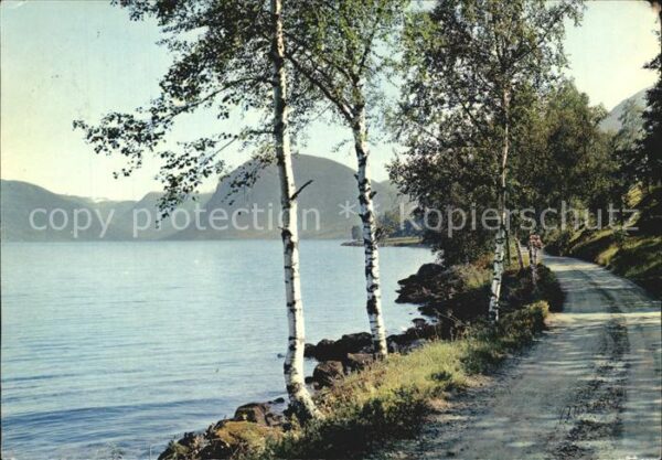 Norwegen Norge Jolstervatn Sunnfjord