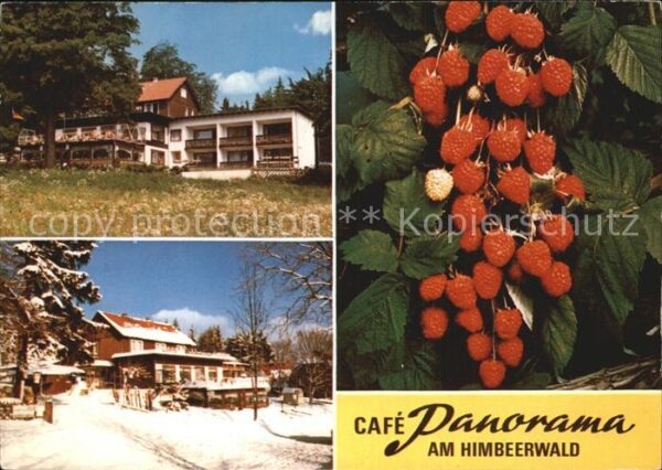 Braunlage Cafe Panorama am Himbeerwald