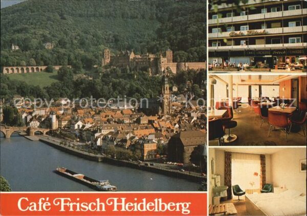 Heidelberg Neckar Cafe Frisch Fliegeraufnahme Neckarparti