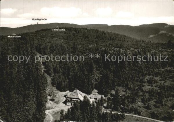 Ruhestein Darmstädter Hütte Hornisgrinde Mummelse