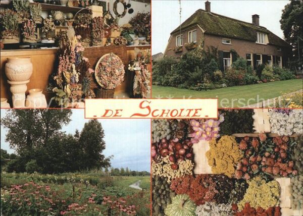 Geesteren Bloemenboerderij De Scholte