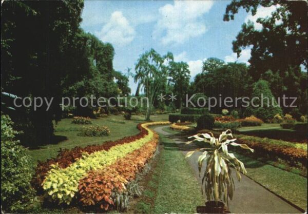 Sri Lanka The Royal Botanic Gardens