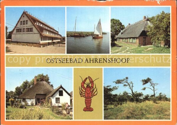 Ahrenshoop Ostseebad Niehagen Ferienheim Boddenblick Rohrdac