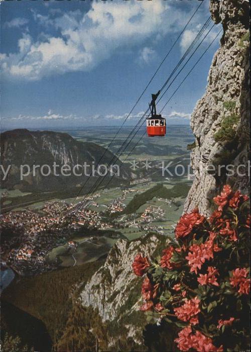 Bad Reichenhall Predigtstuhlbahn Gipfelstation Höhenson