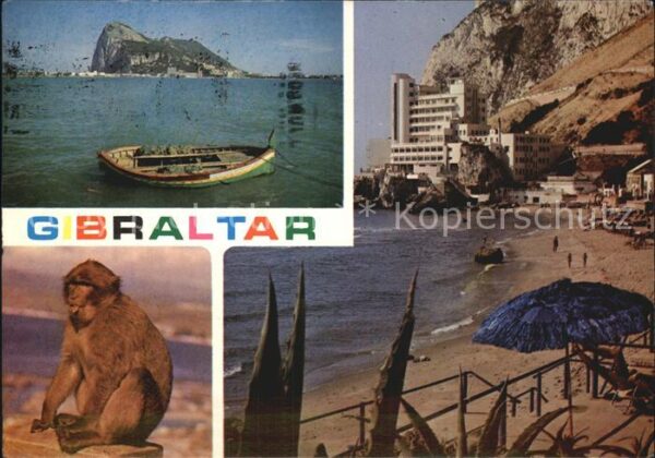 Gibraltar Strand Affe