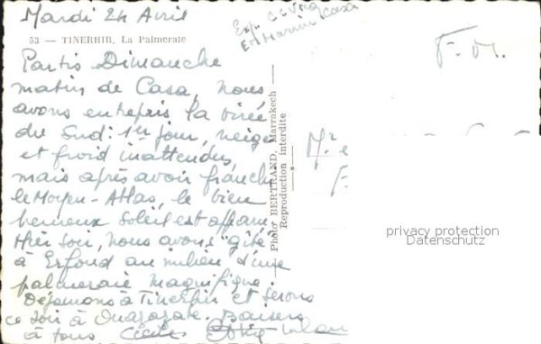 Tinerhir La Palmerate – Bild 2