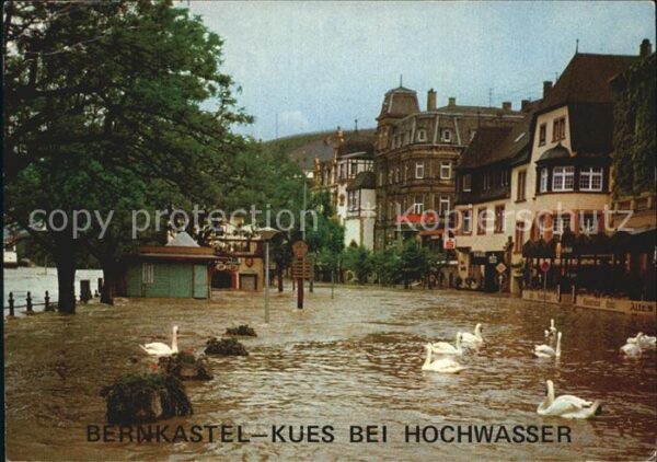 Bernkastel-Kues bei Hochwasser Moselufer Schwäne