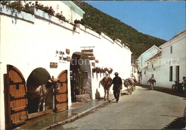 Mijas Costa del Sol Mann mit Eseln
