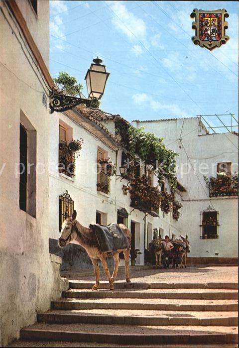 Granada Andalucia Salida Arco de las Pesas