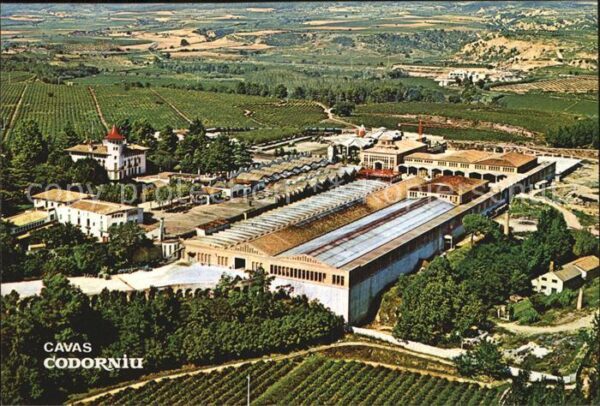 Cavas Codorniu Fliegeraufnahme