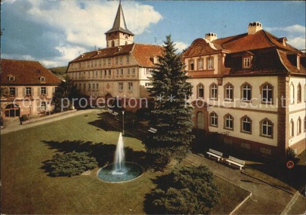 Bad Koenig Odenwald Schloss Fontäne
