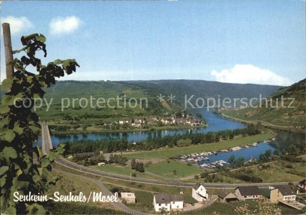 Senheim-Senhals Campingplatz Holländischer Hof Panorama