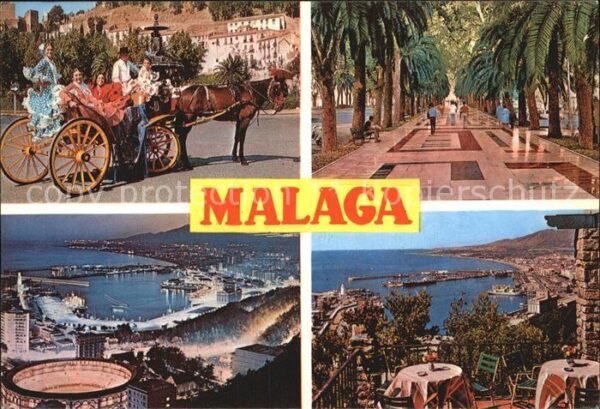 Malaga Andalucia Pferdekutsche Palmenallee Panorama Dach
