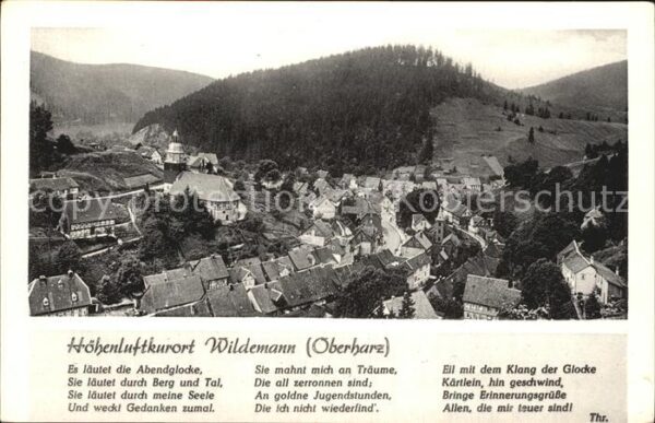 Wildemann Panorama Höhenluftkurort Gedicht