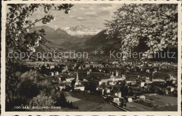 Gries-Quirein Bozen Panorama Alpen Baumblüte